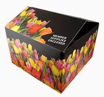 Corrugated Box